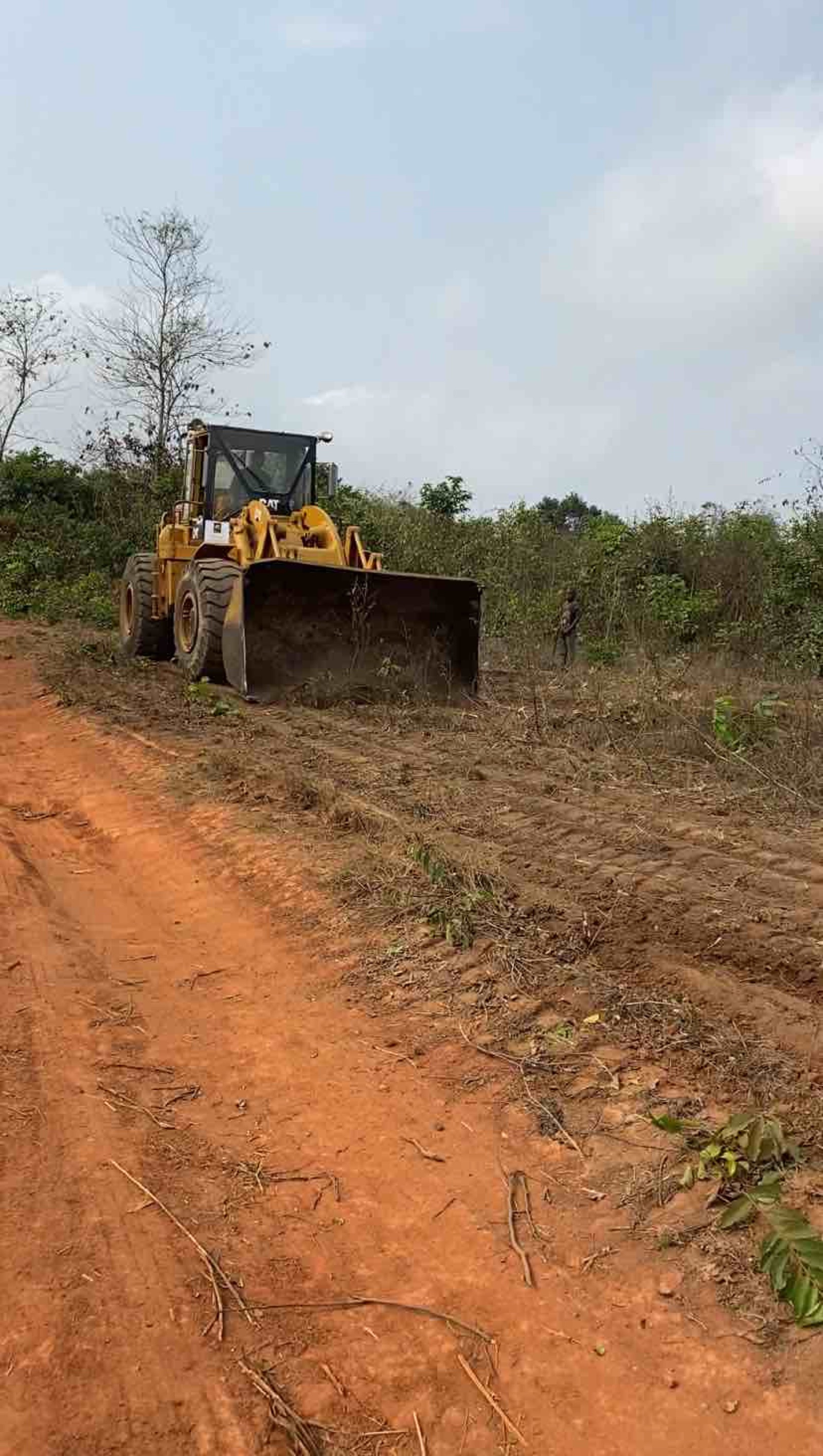 Road Access Clearing